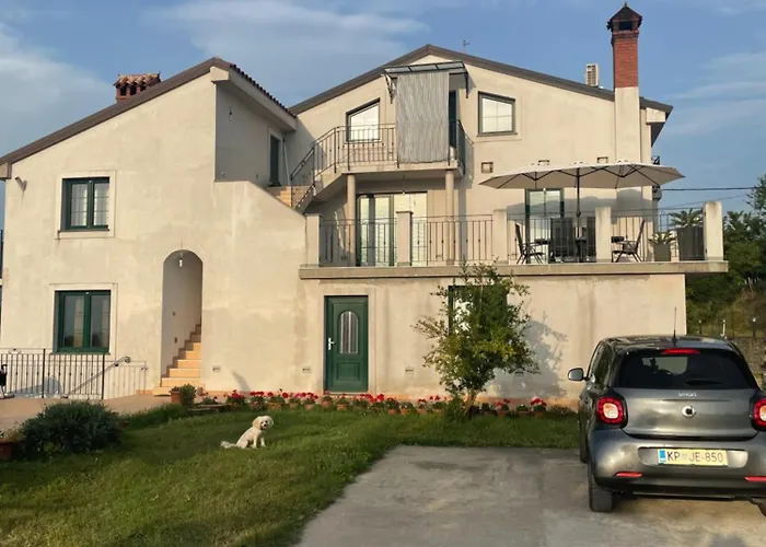 公寓 Apartma Metulj - New 科佩尔