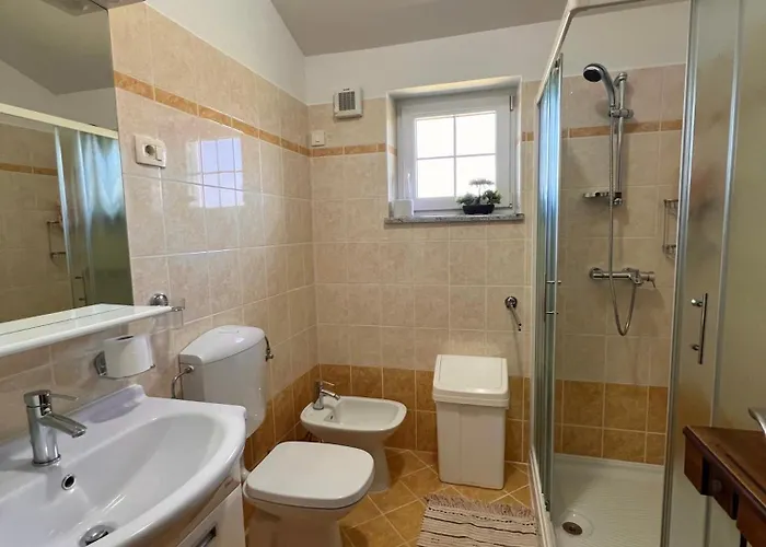 Apartma Metulj - New 科佩尔