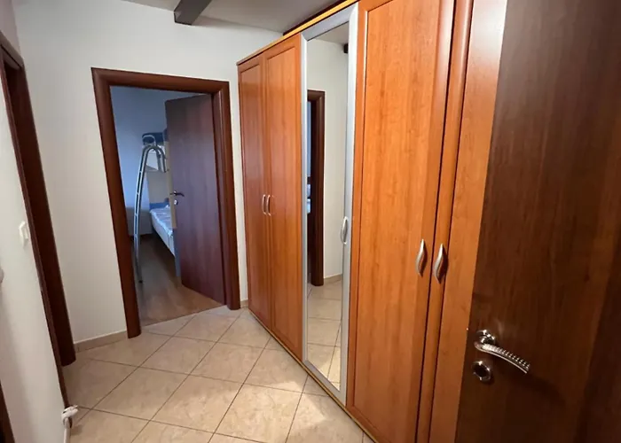 公寓 Apartma Metulj - New