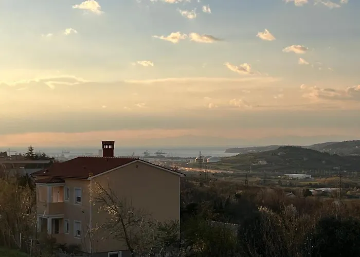 Apartma Metulj - New * 科佩尔