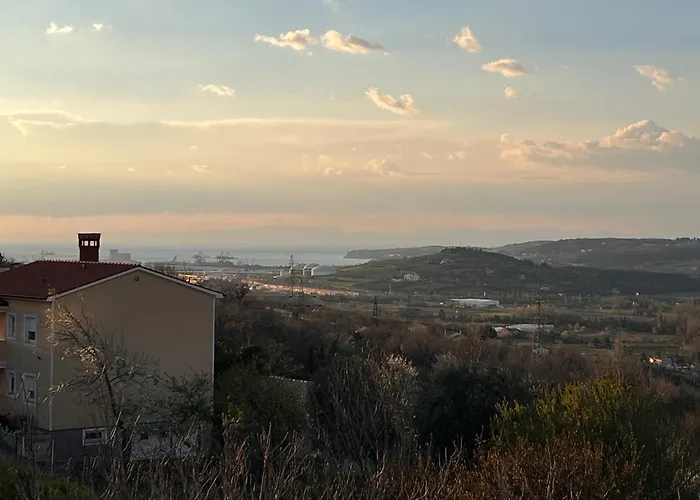 Apartma Metulj - New 公寓 科佩尔